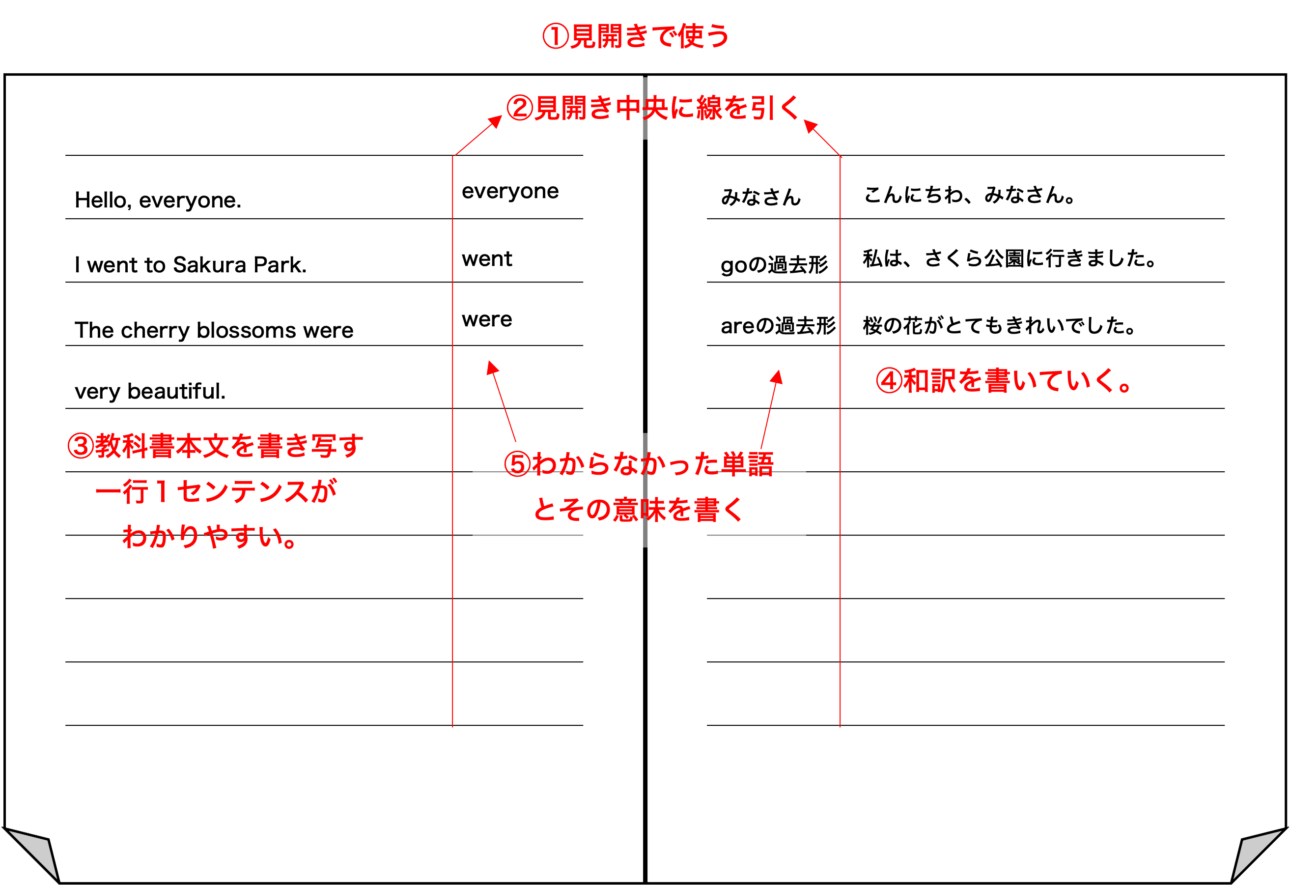 英語の勉強法 英語の勉強法