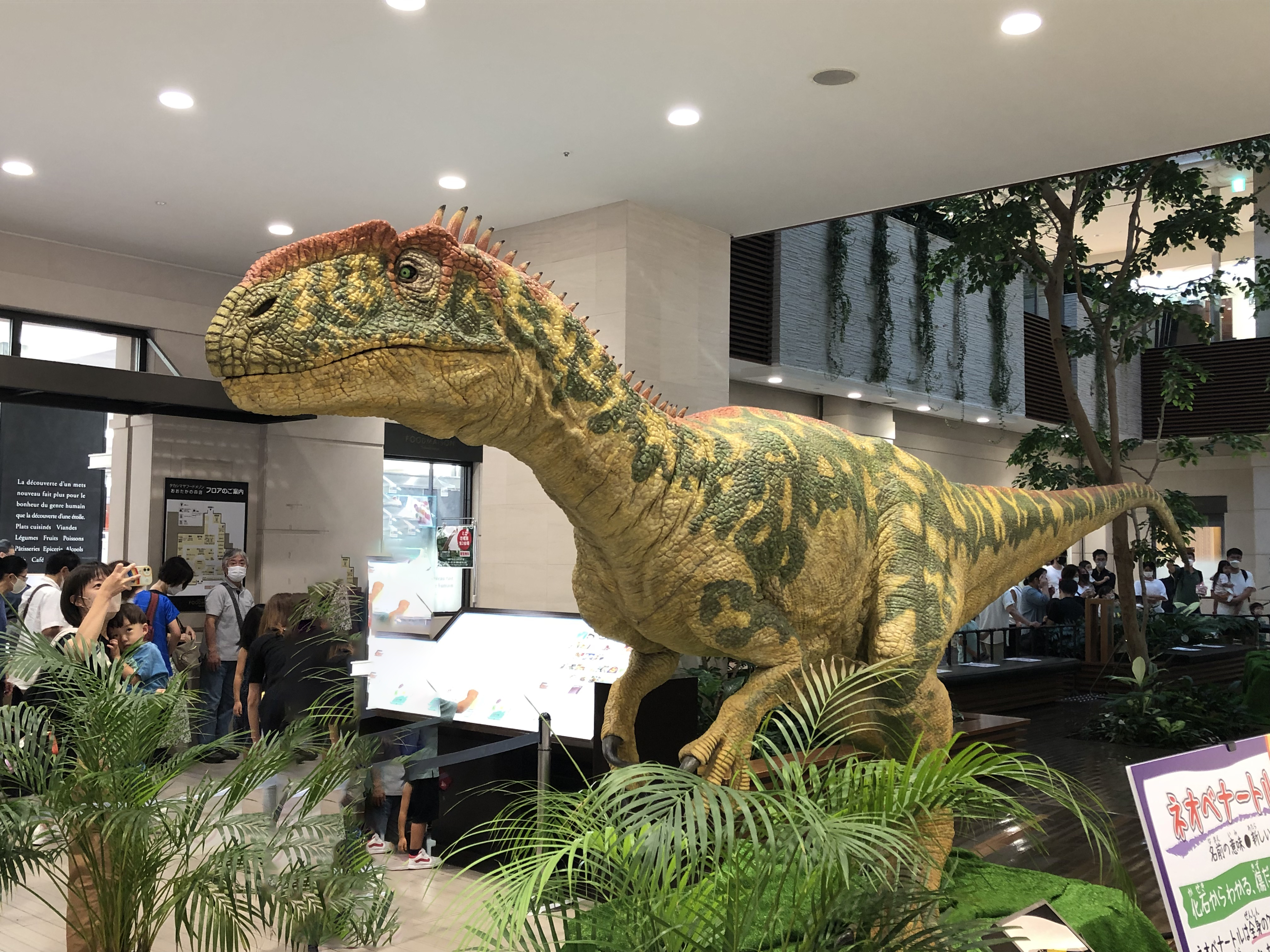 IMG_1136 のコピー